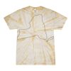 Spider Tie Dye Tees 1001 - Adult & Youth Thumbnail