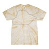 Spider Tie Dye Tees 1001 - Adult & Youth Thumbnail