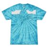 Spider Tie Dye Tees 1001 - Adult & Youth Thumbnail
