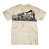 Spider Tie Dye Tees 1001 - Adult & Youth Thumbnail