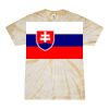 Spider Tie Dye Tees 1001 - Adult & Youth Thumbnail