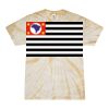 Spider Tie Dye Tees 1001 - Adult & Youth Thumbnail