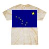 Spider Tie Dye Tees 1001 - Adult & Youth Thumbnail