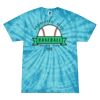 Spider Tie Dye Tees 1001 - Adult & Youth Thumbnail