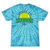 Spider Tie Dye Tees 1001 - Adult & Youth Thumbnail