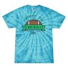 Spider Tie Dye Tees 1001 - Adult & Youth Thumbnail