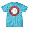 Spider Tie Dye Tees 1001 - Adult & Youth Thumbnail