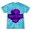 Spider Tie Dye Tees 1001 - Adult & Youth Thumbnail