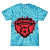 Spider Tie Dye Tees 1001 - Adult & Youth Thumbnail