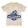 Spider Tie Dye Tees 1001 - Adult & Youth Thumbnail