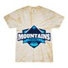 Spider Tie Dye Tees 1001 - Adult & Youth Thumbnail