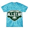 Spider Tie Dye Tees 1001 - Adult & Youth Thumbnail