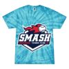 Spider Tie Dye Tees 1001 - Adult & Youth Thumbnail