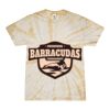 Spider Tie Dye Tees 1001 - Adult & Youth Thumbnail