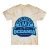 Spider Tie Dye Tees 1001 - Adult & Youth Thumbnail