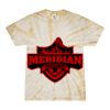 Spider Tie Dye Tees 1001 - Adult & Youth Thumbnail