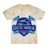 Spider Tie Dye Tees 1001 - Adult & Youth Thumbnail