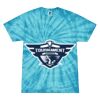 Spider Tie Dye Tees 1001 - Adult & Youth Thumbnail