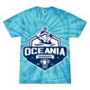 Spider Tie Dye Tees 1001 - Adult & Youth Thumbnail