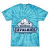 Spider Tie Dye Tees 1001 - Adult & Youth Thumbnail