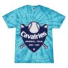 Spider Tie Dye Tees 1001 - Adult & Youth Thumbnail