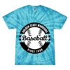 Spider Tie Dye Tees 1001 - Adult & Youth Thumbnail