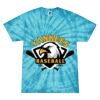 Spider Tie Dye Tees 1001 - Adult & Youth Thumbnail
