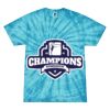 Spider Tie Dye Tees 1001 - Adult & Youth Thumbnail