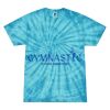 Spider Tie Dye Tees 1001 - Adult & Youth Thumbnail