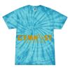 Spider Tie Dye Tees 1001 - Adult & Youth Thumbnail