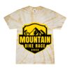 Spider Tie Dye Tees 1001 - Adult & Youth Thumbnail