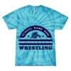 Spider Tie Dye Tees 1001 - Adult & Youth Thumbnail