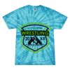 Spider Tie Dye Tees 1001 - Adult & Youth Thumbnail