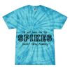 Spider Tie Dye Tees 1001 - Adult & Youth Thumbnail