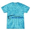 Spider Tie Dye Tees 1001 - Adult & Youth Thumbnail