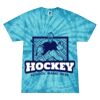 Spider Tie Dye Tees 1001 - Adult & Youth Thumbnail