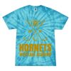 Spider Tie Dye Tees 1001 - Adult & Youth Thumbnail