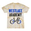 Spider Tie Dye Tees 1001 - Adult & Youth Thumbnail