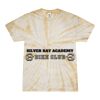 Spider Tie Dye Tees 1001 - Adult & Youth Thumbnail