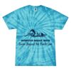 Spider Tie Dye Tees 1001 - Adult & Youth Thumbnail