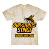 Spider Tie Dye Tees 1001 - Adult & Youth Thumbnail