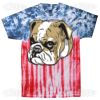 Flag Tie Dye Tees - Adult & Youth Thumbnail