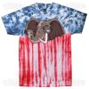 Flag Tie Dye Tees - Adult & Youth Thumbnail