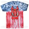 Flag Tie Dye Tees - Adult & Youth Thumbnail