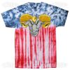 Flag Tie Dye Tees - Adult & Youth Thumbnail