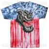 Flag Tie Dye Tees - Adult & Youth Thumbnail