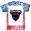 Flag Tie Dye Tees - Adult & Youth Thumbnail