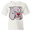 Heavy Cotton Youth Gildan T-Shirt Thumbnail