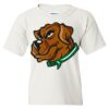 Heavy Cotton Youth Gildan T-Shirt Thumbnail