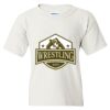 Heavy Cotton Youth Gildan T-Shirt Thumbnail